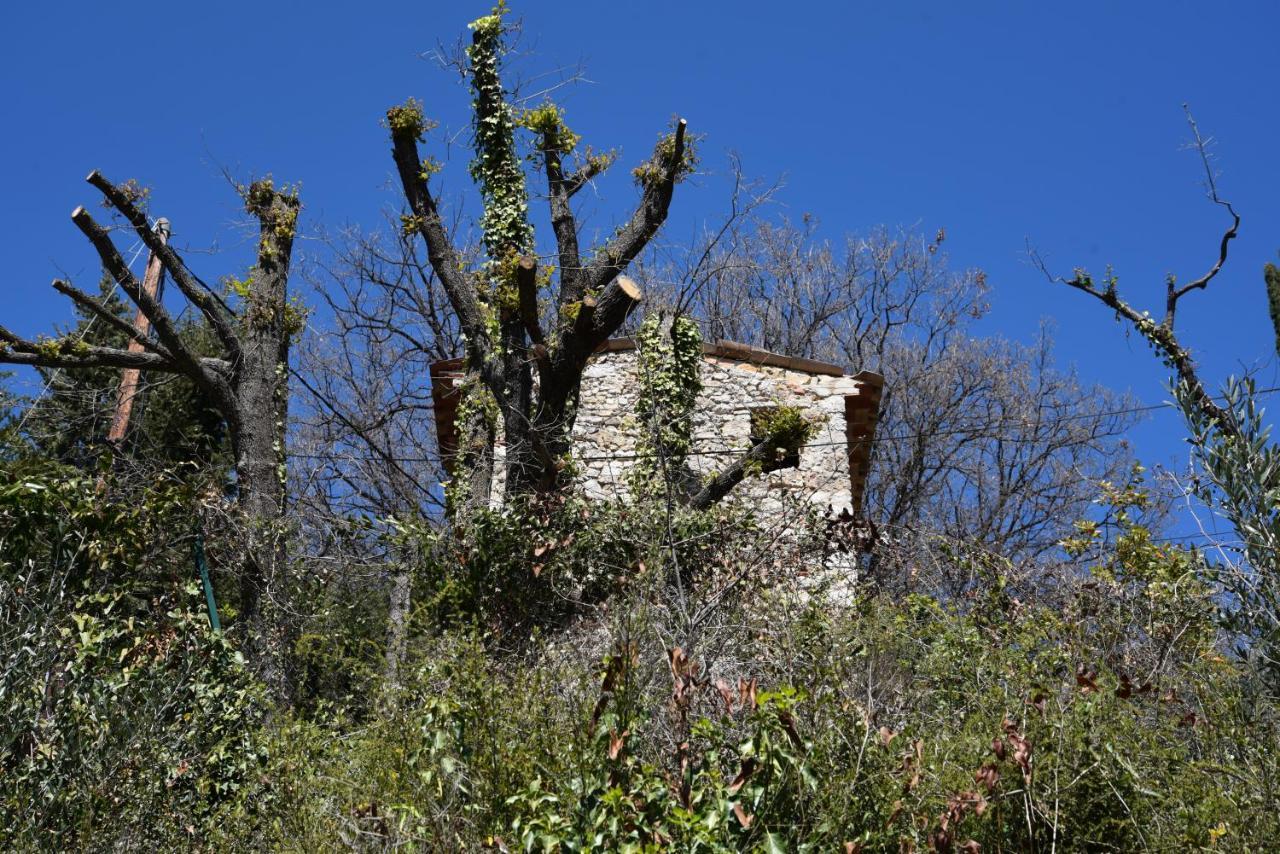 Chambre d'hôtes Cottes Callian  Exterior foto